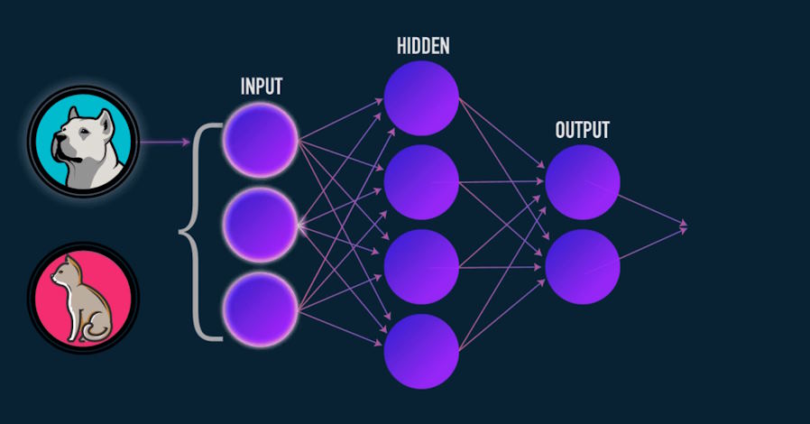 deep learning algorithms